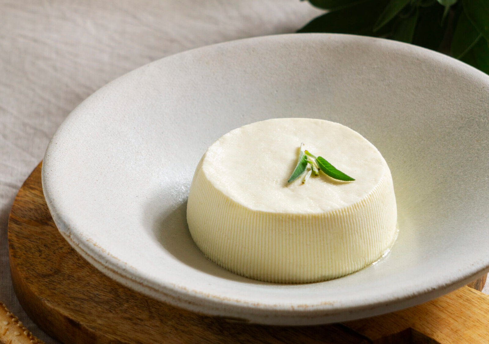 zdjęcie sera ricotta na białym talerzu udekorowanego listkiem rozmarynu, obok leżą na stole wiśnie w białej miseczce oraz paluchy pszenne